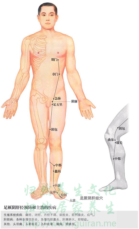 足五里穴取穴图