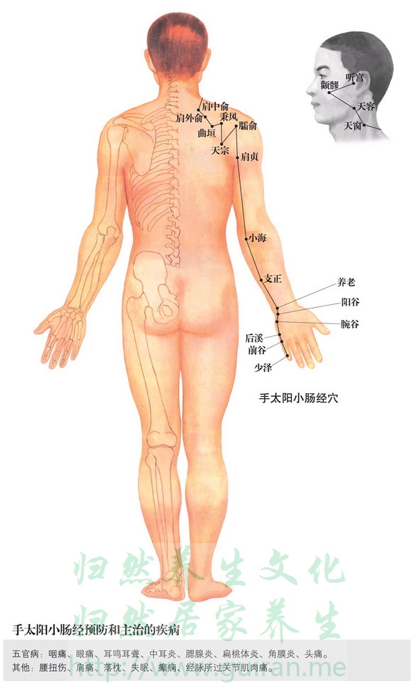 后溪穴取穴图